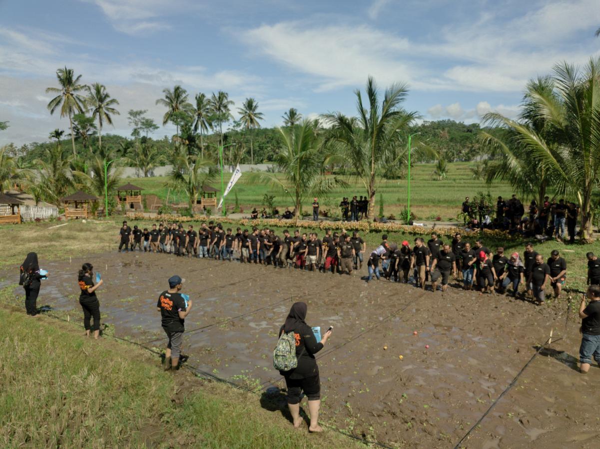 Grand Harvest Resort & Villas Banyuwangi  Buitenkant foto